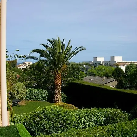 Des Basses Breguieres Antibes